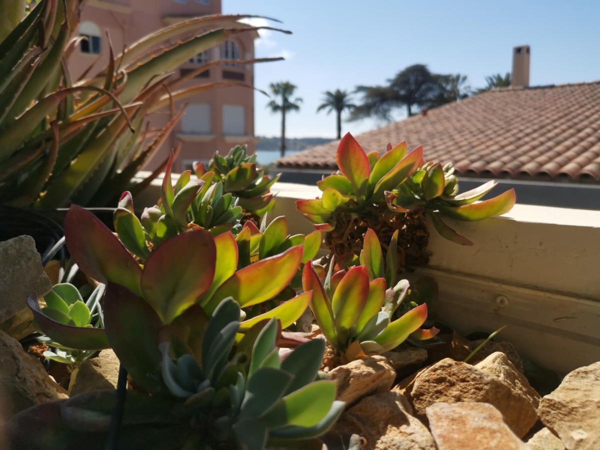Ofdl B T1 Bandol - Briotine Foyalais Apartment Exterior photo